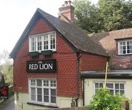 Hotel The Red Lion Betchworth Exterior foto